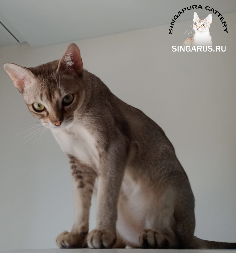 Изображение WhatsApp 2025-08-08 в 12.04.01_2f81f0bd.jpg